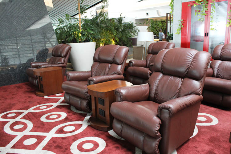Above Ground Levell Lounge Recliners