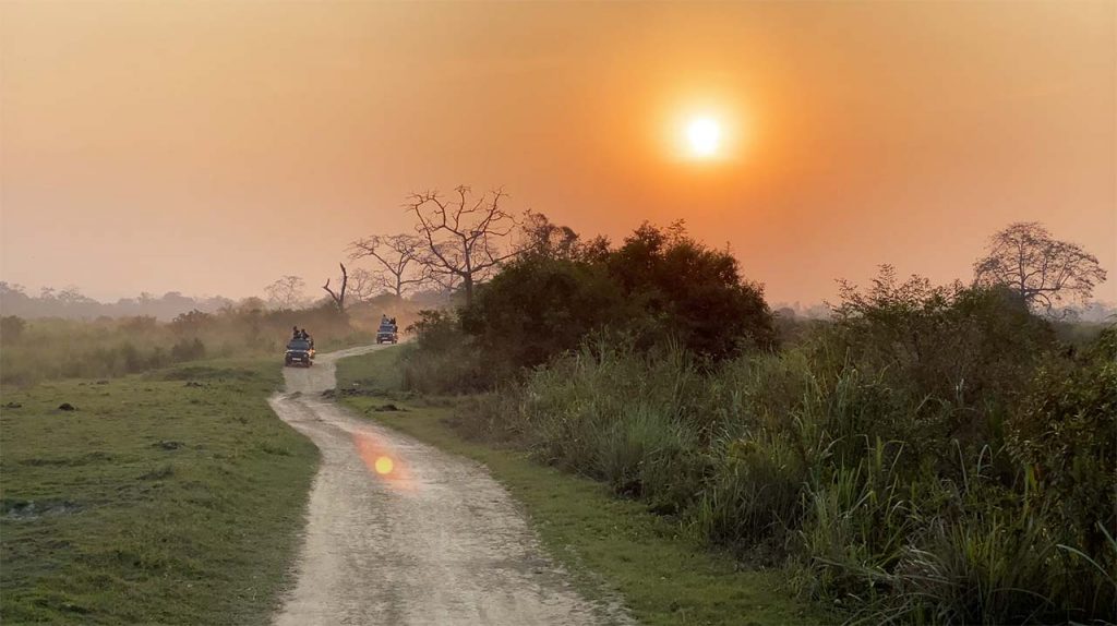 Kaziranga National Park, Assam