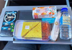 Vistara Premium Economy Food