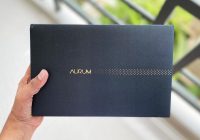 sbicard aurum experience