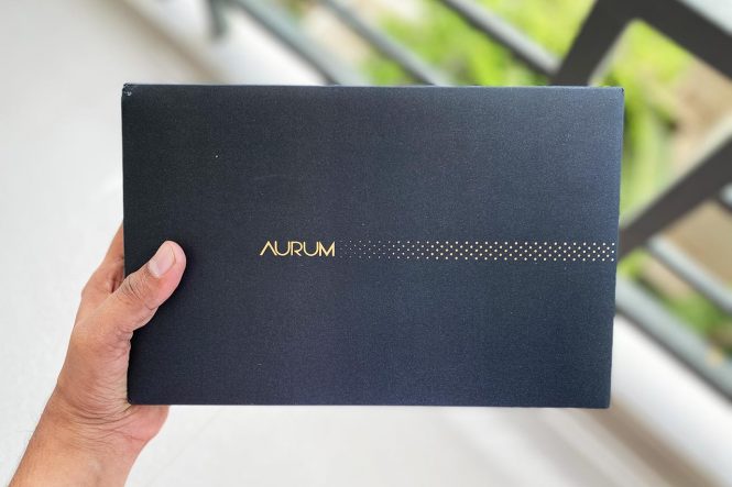 sbicard aurum experience