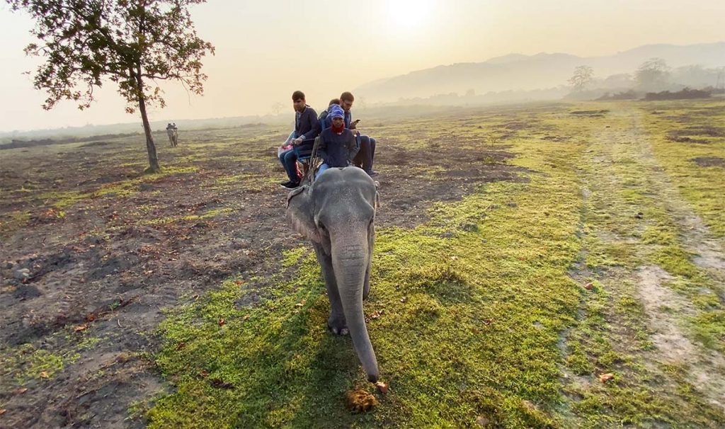 Kaziranga Elephant Ride