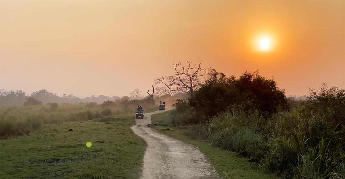 Evening views at Kaziranga
