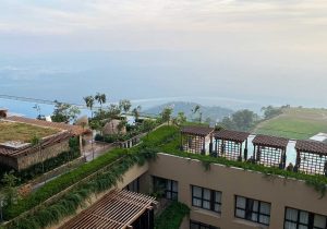 westin resort and spa, himalayas review
