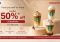 50% Off at Starbucks with IndusInd Bank Visa Credit Cards